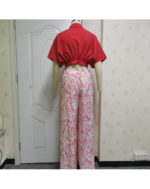 Wefads Womens Two Piece Sets Sexy Mid Sleeve Shirt Elgant Floral Print Wide Leg Pant High Streetwear